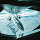 Image for article titled The SR-71 Blackbird Took Its First Flight 50 Years Ago Today